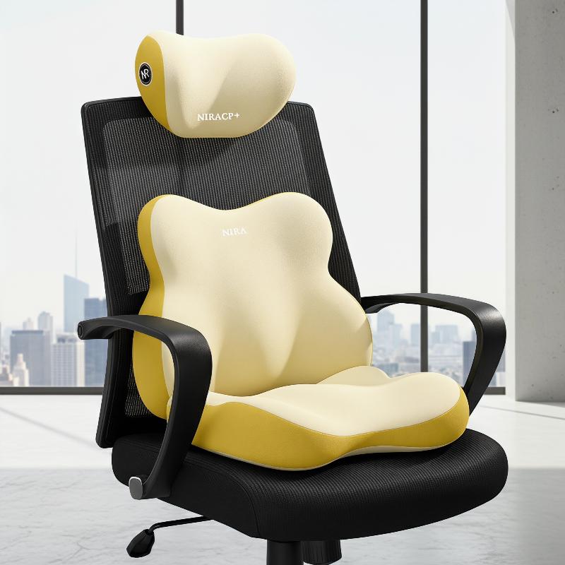 차량 시트 요추 지지대 및 목 받침대 베개 세트, 조절 - Memory Foam Car Neck Pillow Lumbar Support 리뷰 및 가격